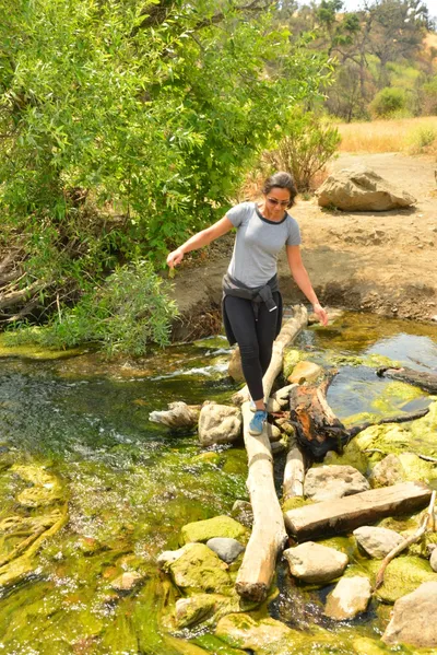 DSC_6536 (Large).JPG